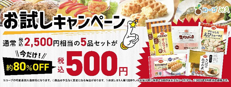 お試しキャンペーン約80%OFF税込500円