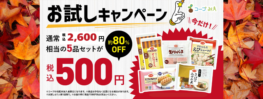 お試しキャンペーン約80%OFF税込500円